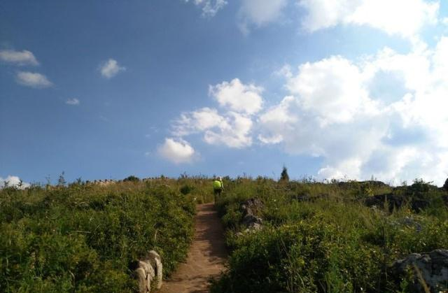 北走蜿蜒长虫山,那是一座昆明人喜欢的城市休闲森林