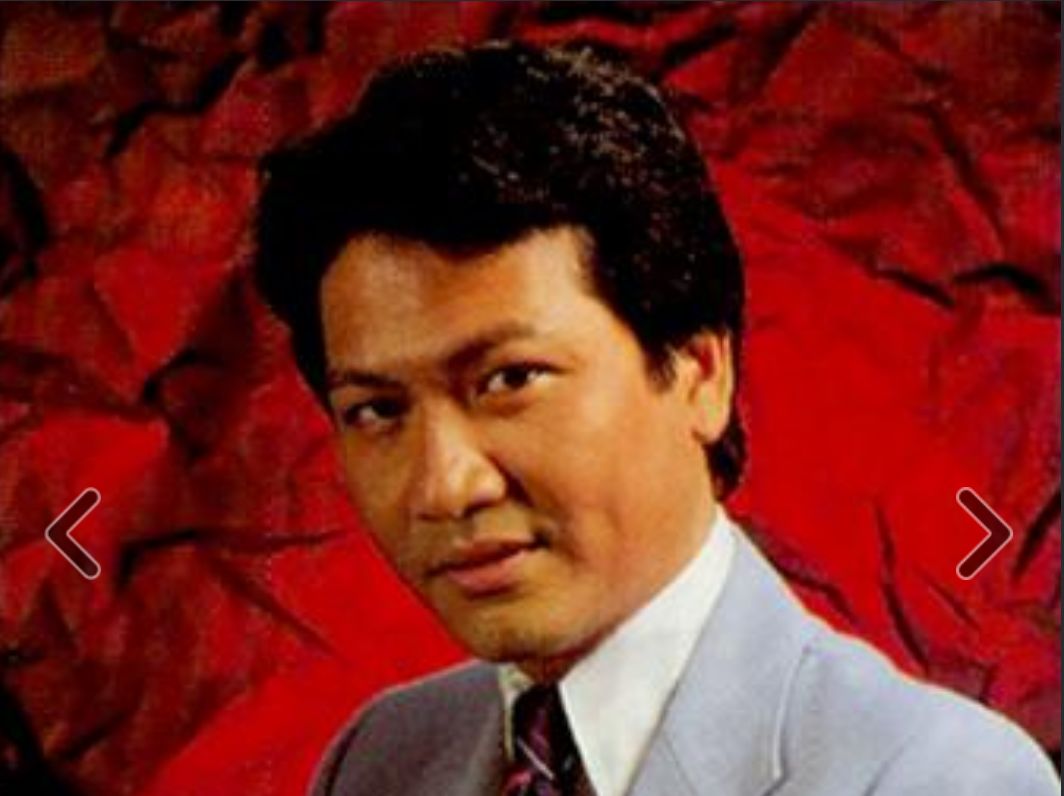 她是最美华筝公主,童安格表妹,隐退近40年却经常被黑|童安格|表妹|公主_新浪新闻
