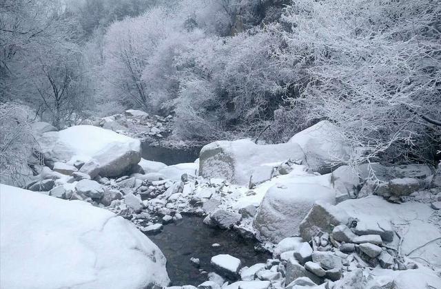 一场大雪,木札岭飞雪漫卷,玉树银装