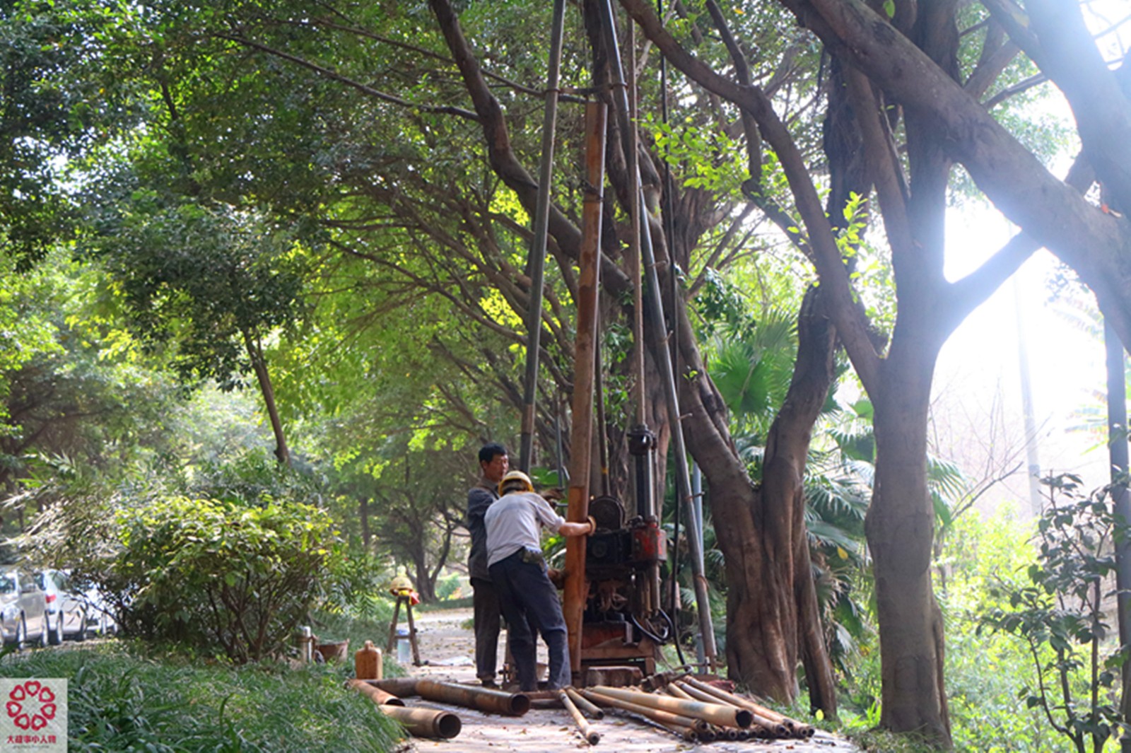 农村人不怕苦不怕累,做地质勘探工作日赚600 