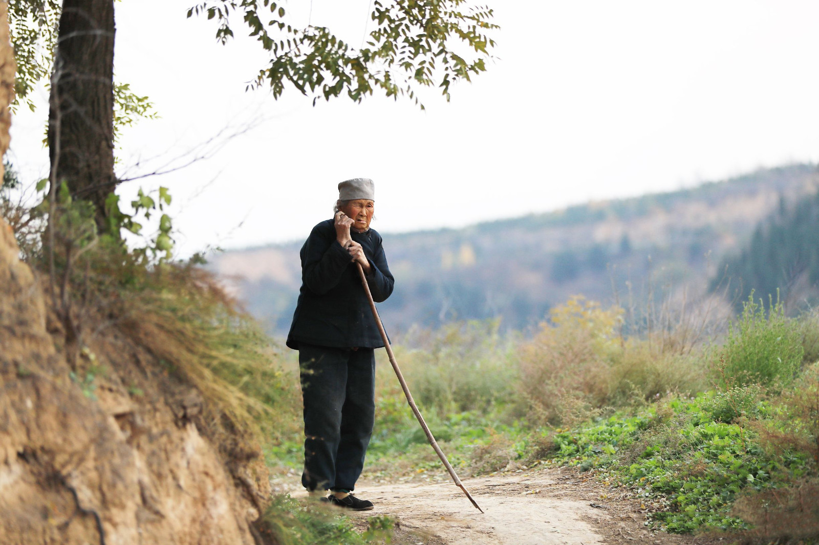 独居大山深处的90岁老人 她一个人的生活让人心生敬意