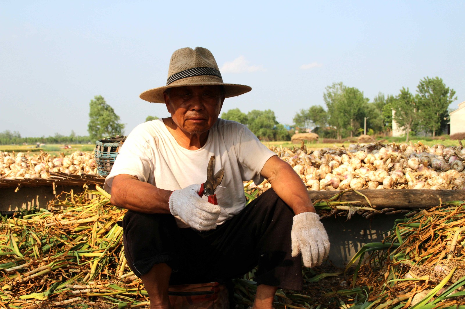 农村的8旬老人:下地帮儿子家干农活,称要干到干不动为止
