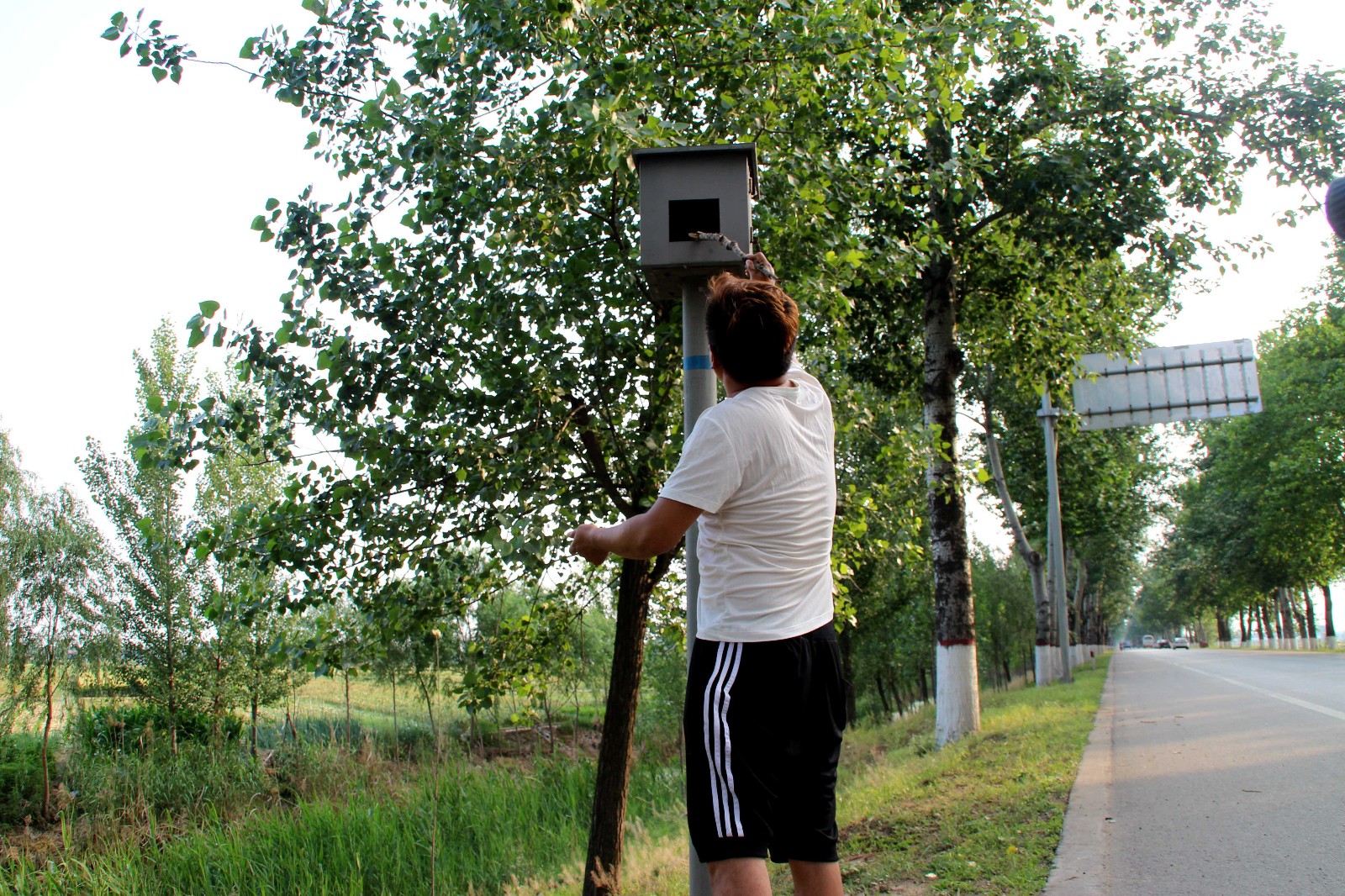 路边的测速铁箱竟是空盒子,过路司机:我居然被骗了大半年_新浪看点