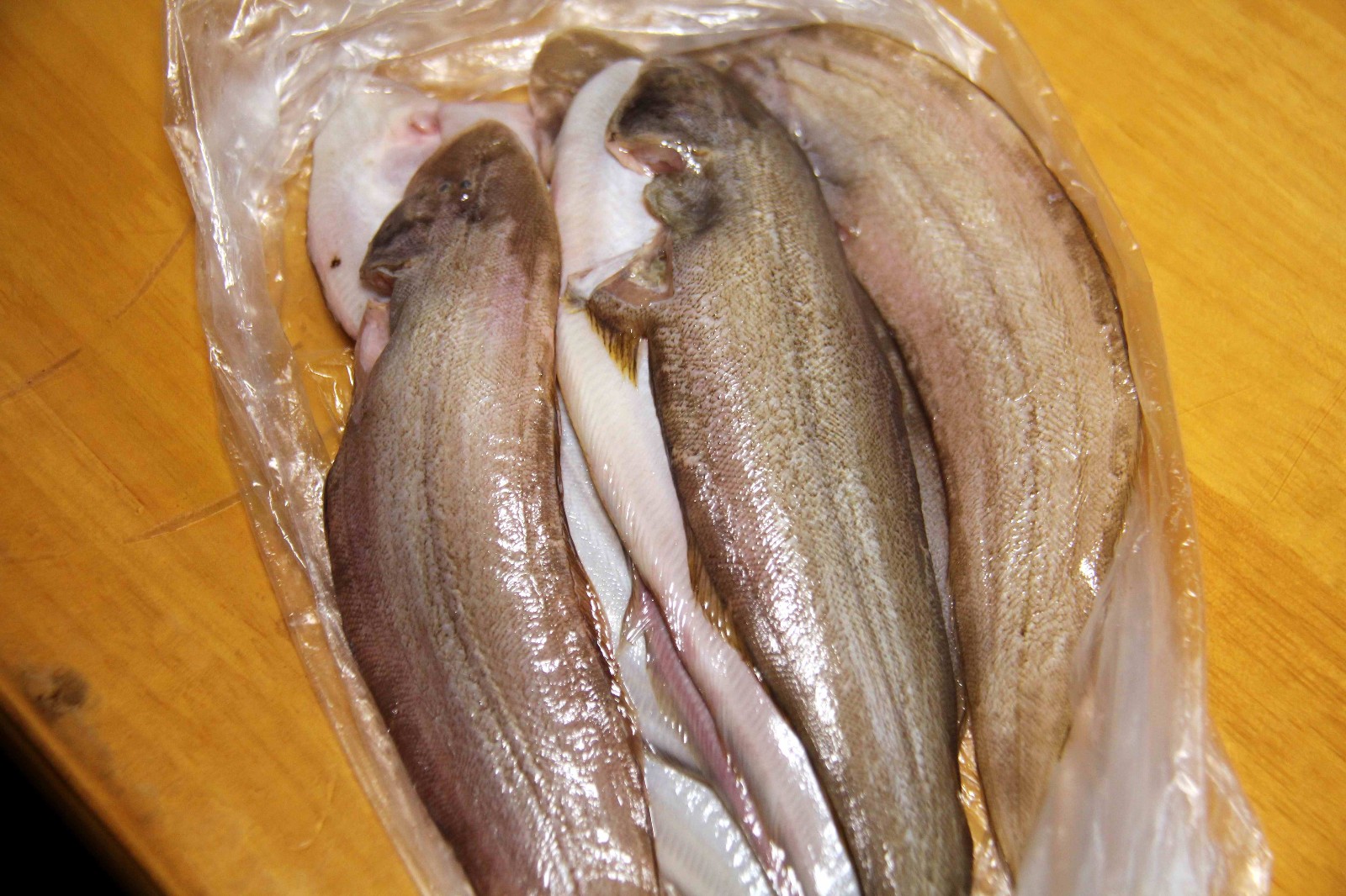 过节聚餐好客的大哥做了这一道长江野生鱼,40年第一次吃到!