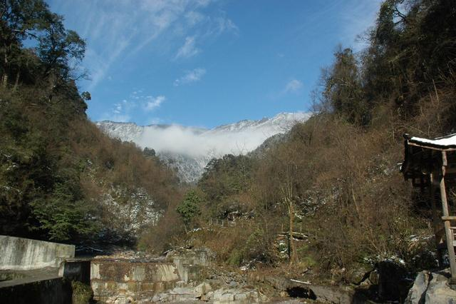 生命的禁区,人畜离奇死亡,彝人禁地,黑竹沟真是中国百慕大?