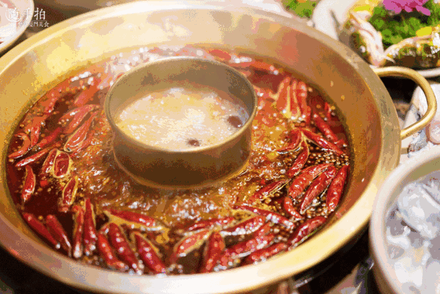 百年一遇火锅界一哥小龙坎居然福利大放送啦还是三店通用喔