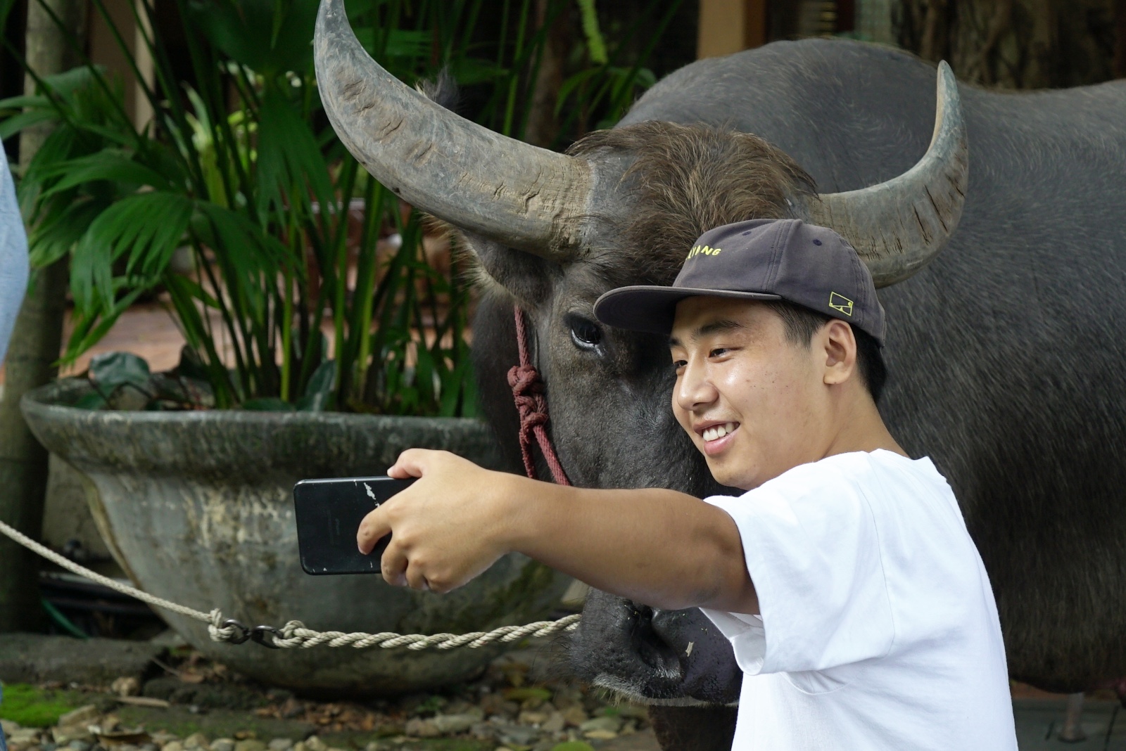 揭秘网红"野食小哥":每天爬树捉蝉打兔子,为做一顿饭跋山涉水