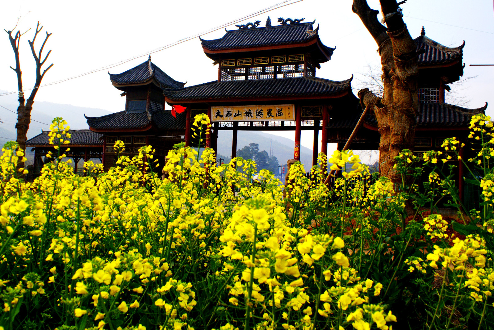 一个值得留念的桃花源--溧阳大石山