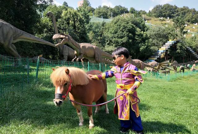 信嗎昆明小人國可騎英國矮馬蕩懸崖鞦韆帶上你的孩子出發吧