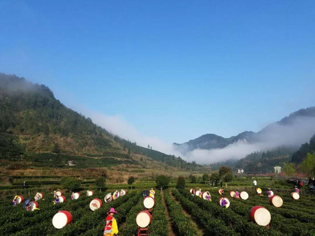 中国古丈第二届茶旅文化节第一篇章:2018古丈毛尖开园仪式开幕