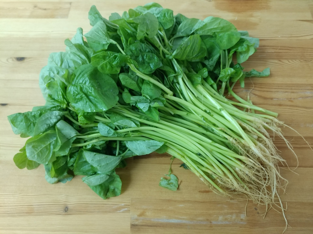 苋菜铁质是菠菜的两倍红苋青苋马屎苋营养美味功效各有所长