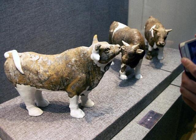 1996年诸葛亮墓被列为全国重点文物保护单位