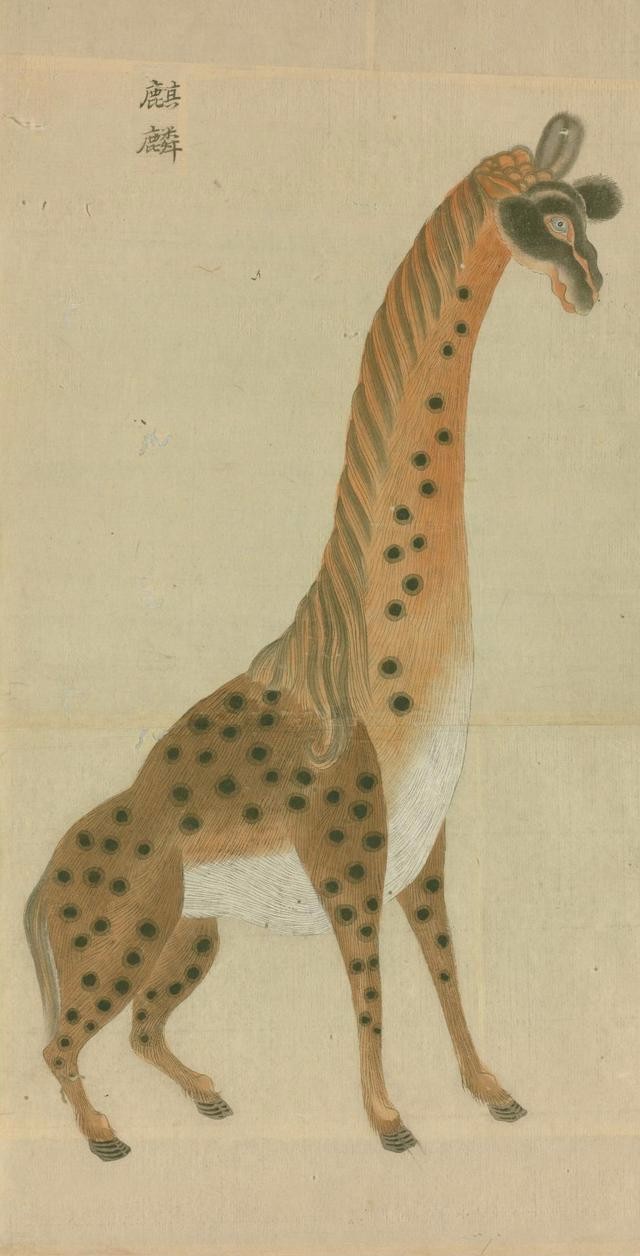 明代的麒麟明代的麒麟明人绘《瑞应麒麟图》