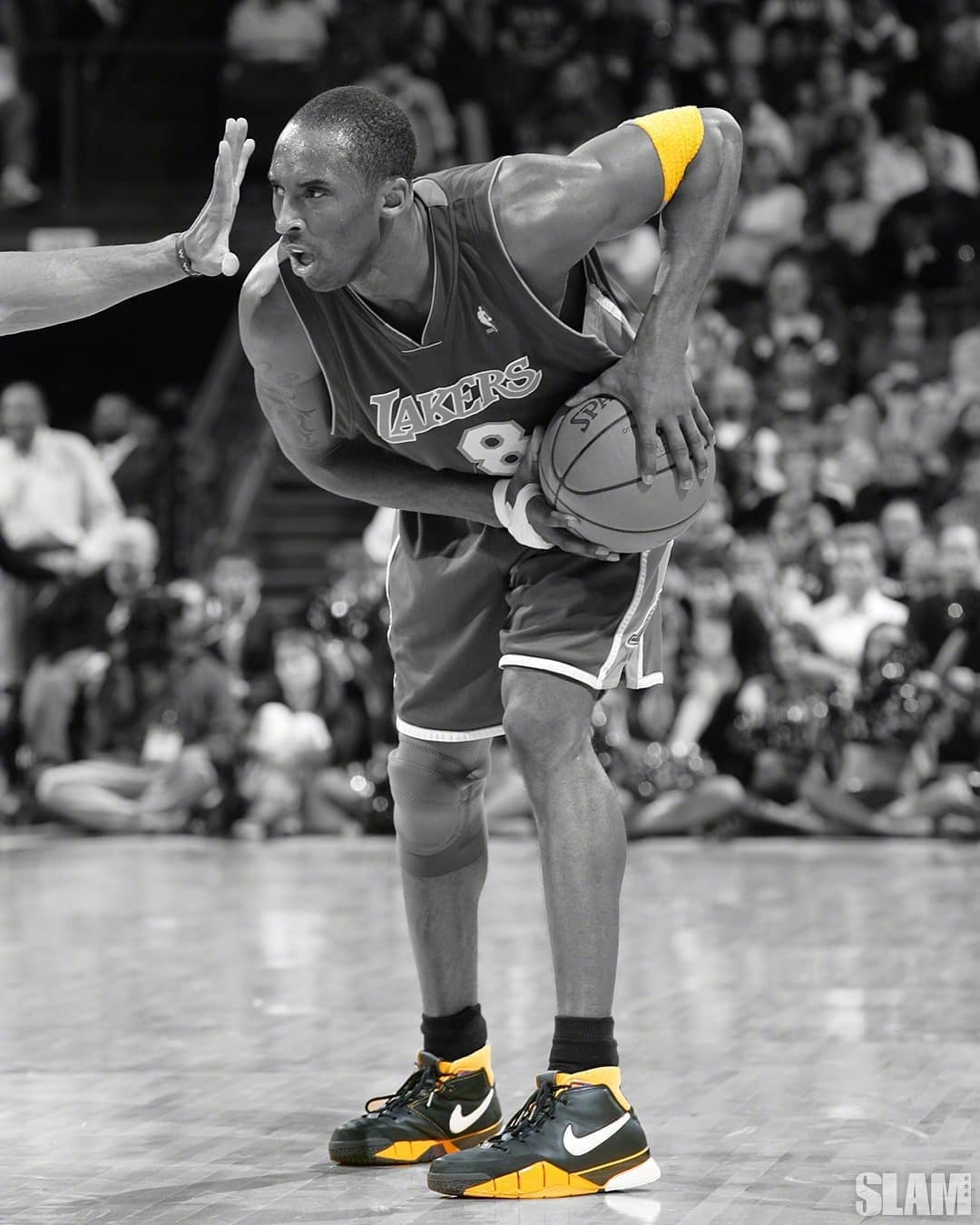 你买了科比这双复刻的zoom kobe 1吗?