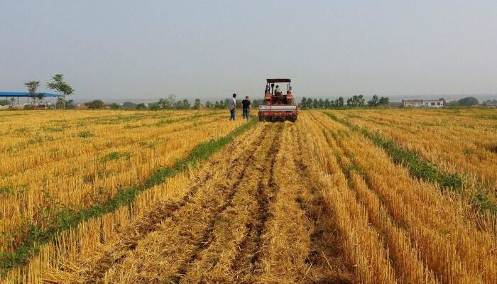 为了保护农村环境,专家提出秸秆还田,却导致农民损失了不少