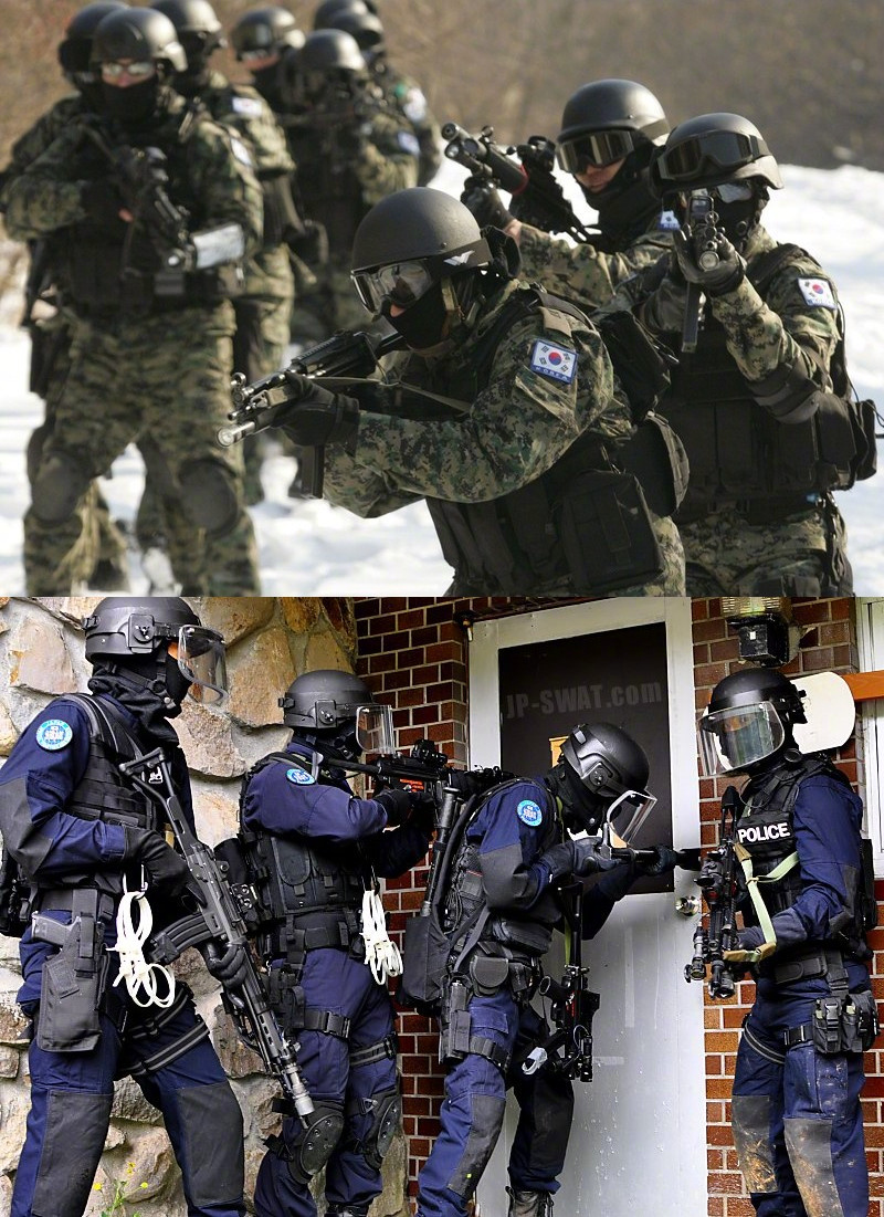 刂肿髡窖芯看蠖 nswdg美国联邦调查局特种武器和战术部队 fbi swat