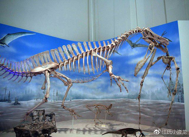 巴西是南美洲著名的古生物化石产地,以中生代的恐龙和翼龙最具代表性