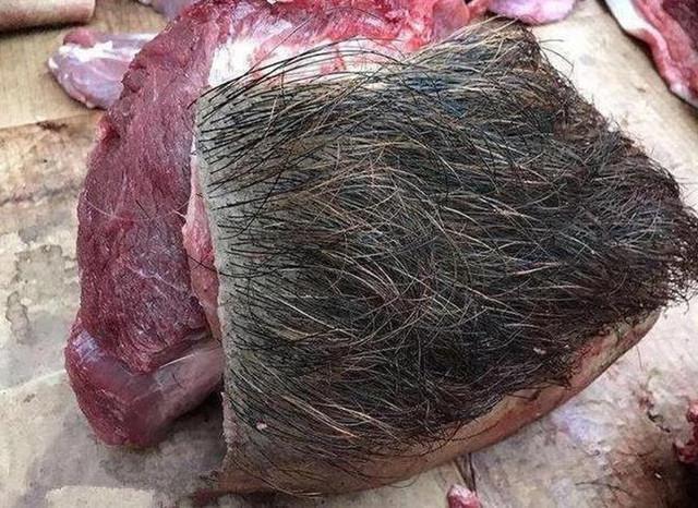 野猪肉50块钱一斤贵吗?你们吃过这样的猪肉吗
