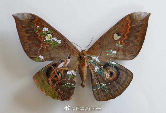 日本艺术家樋口明宏在昆虫标本上绘制的画作.