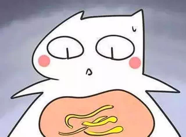 女孩养猫得了裂头蚴家长迁怒于家中小猫宠物寄生虫你怎么看