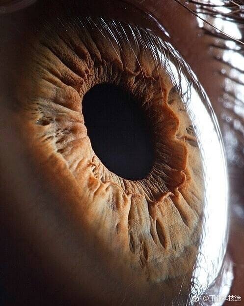 惊叹超微距镜头下的人眼瞳孔