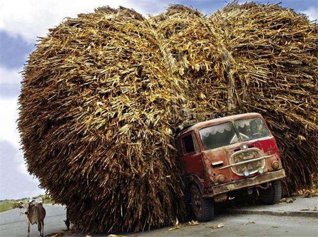 史上最"奇葩"的汽车超载,一个比一个牛,看到最后一个我笑了!