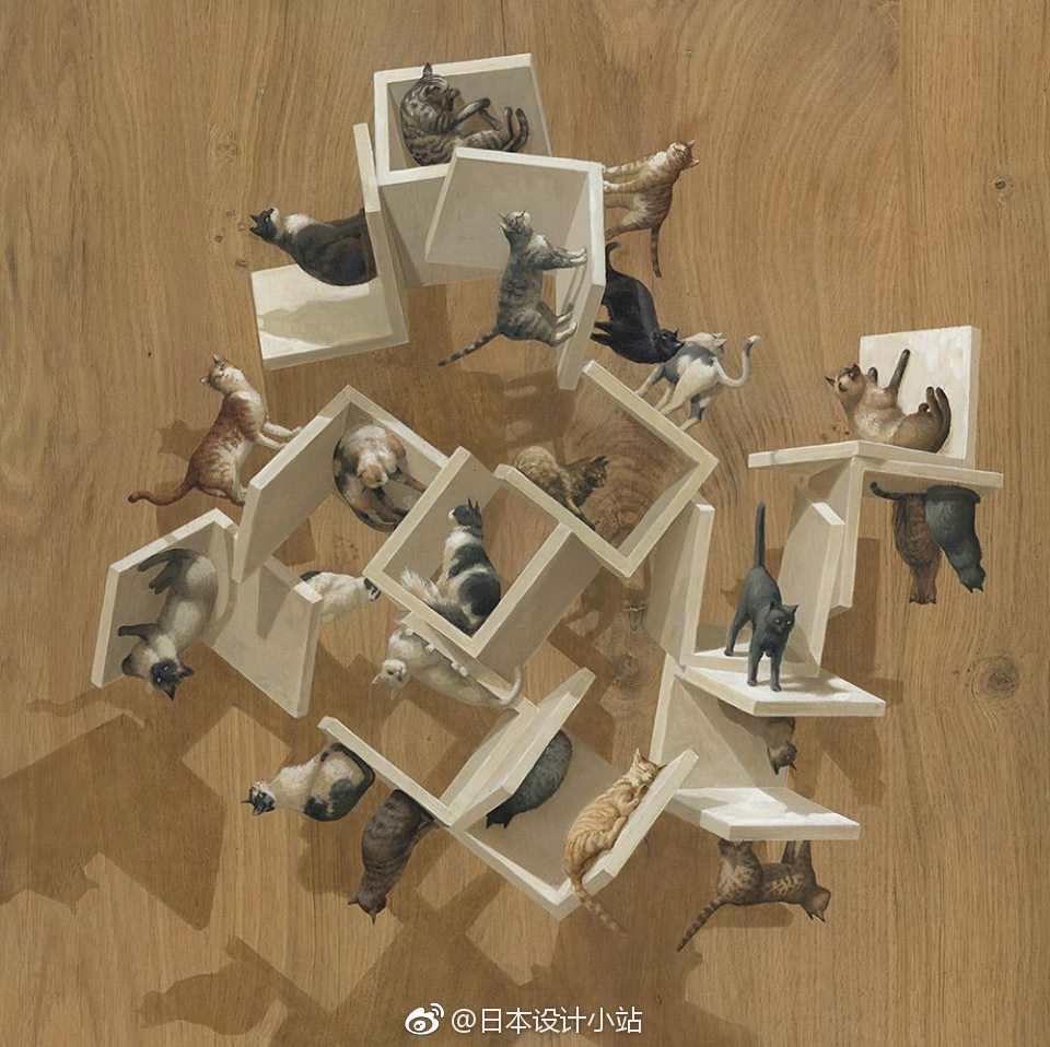 西班牙艺术家cinta vidal绘制的颠倒世界中的猫咪