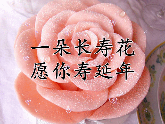 打开新浪新闻一朵长寿花,愿你寿延年日子碰到九,好运跟你走真诚的祝福