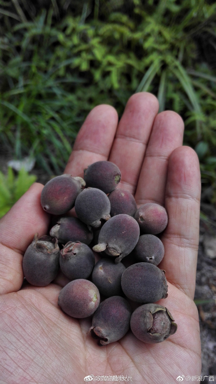 据说,这是大部分南宁人的儿时记忆,你吃过吗|捻子|中元节|记忆_新浪
