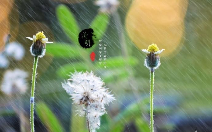 清明时节雨纷纷