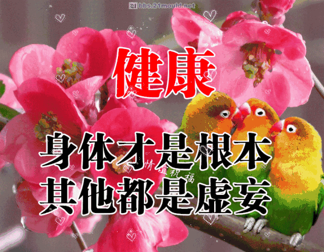 心态乐观就好打开新浪新闻生活豁达就好打开新浪新闻朋友真诚就好打开