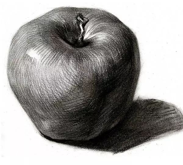 绘画教程静物素描的写生方法