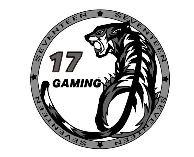 17shou选手赛事失利,微博道歉,粉丝炸锅了!