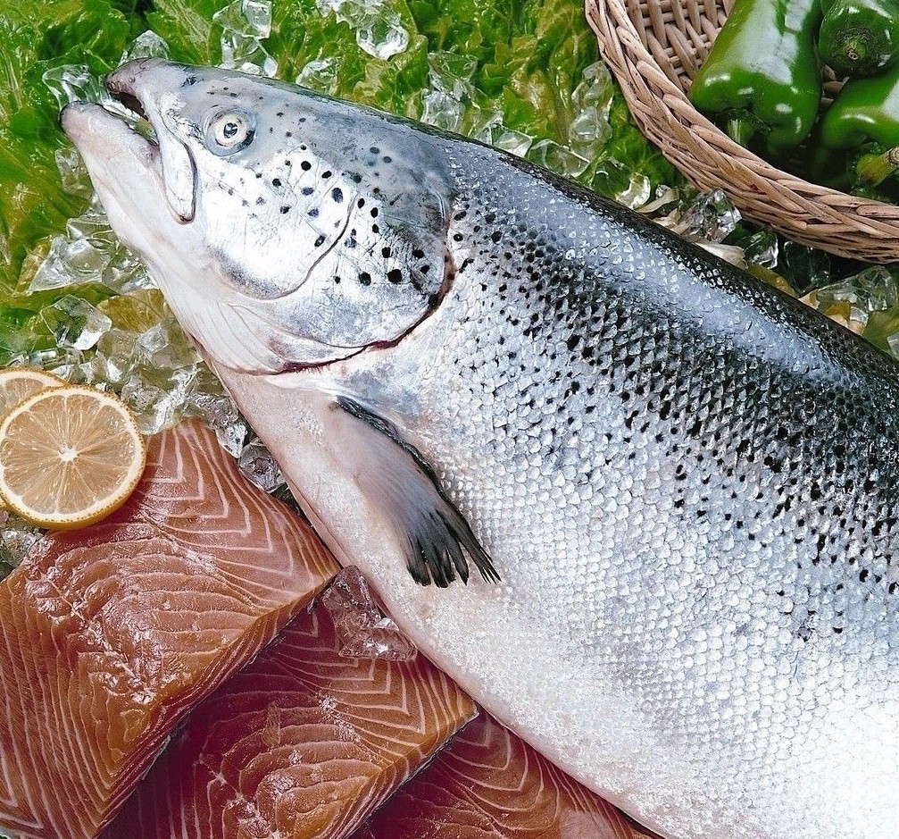 虹鳟鱼被归入三文鱼?日料老板:两者价格差近一倍!