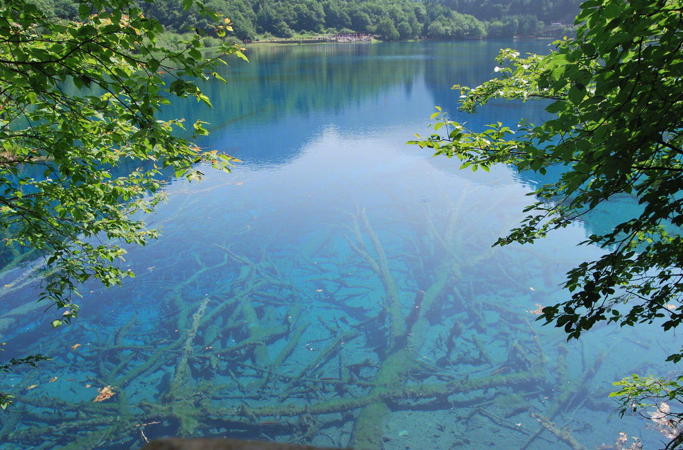 水再浑浊,只要经历长久的沉淀,依然会分外的清澄;人再愚钝