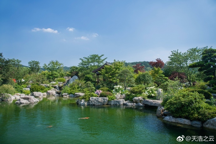 无锡九龙湾花彩小镇春有杜鹃夏有绣球花憧憬