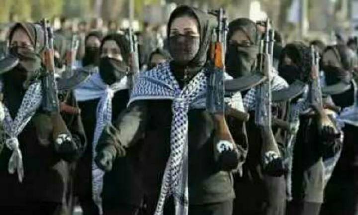 为什么恐怖份子都是小白帽呢?