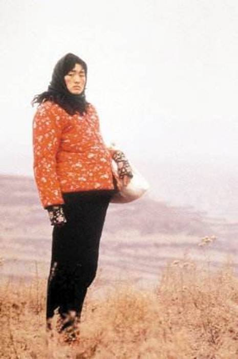 演得了最土的村姑做得了最美的贵妇翻遍娱乐圈再找不出一个她