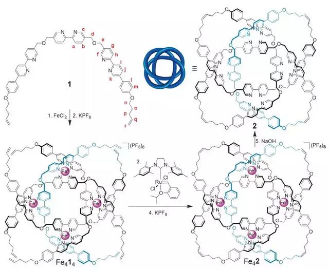 leigh 团队合成的   个交叉的扭结(来源:science)