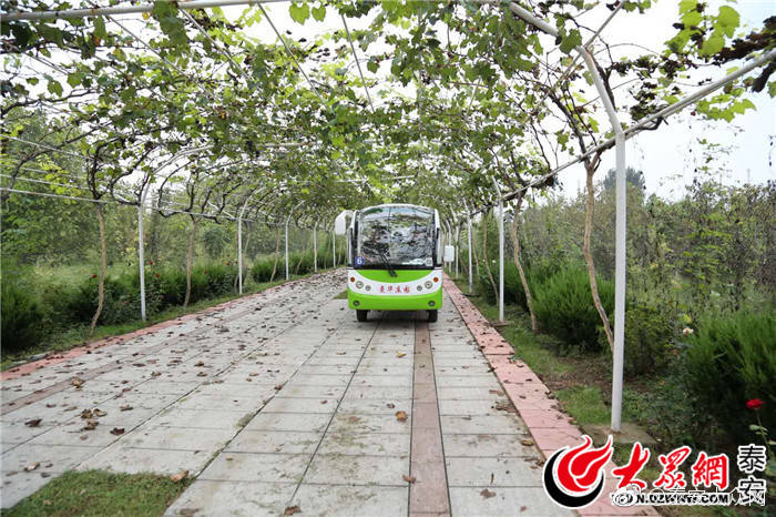 泰安曼华庄园:欧式风格为基调 一站式采摘休闲游