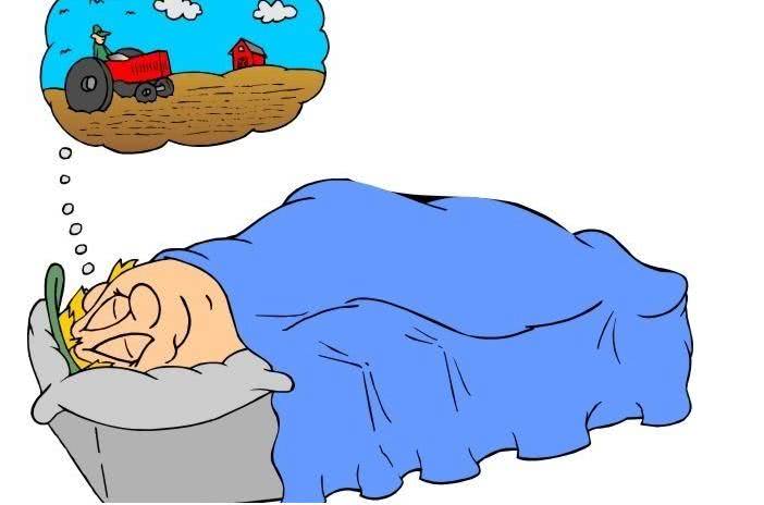 睡觉总做梦真不是好事可能身体上这个器官出现了问题