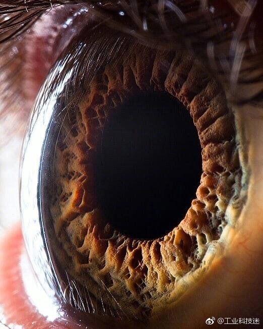 惊叹超微距镜头下的人眼瞳孔