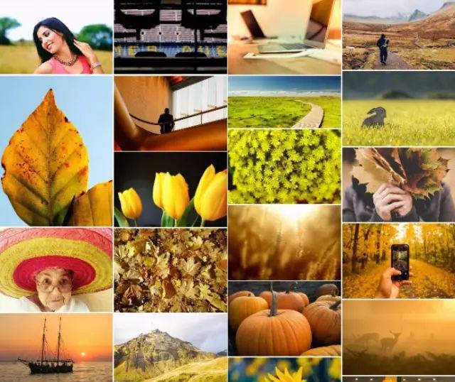 免费矢量图素材官网下载推荐 免费矢量图标下载网站有哪些