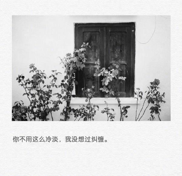 最后的这一点尊严,我决定留给自己