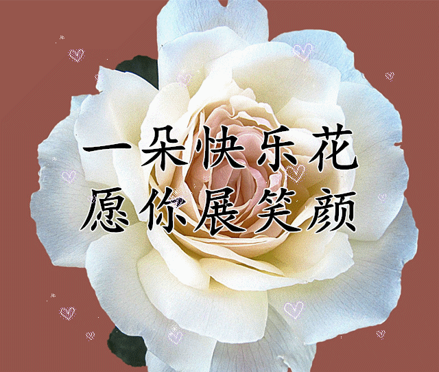 640_542gif 动态图 动图