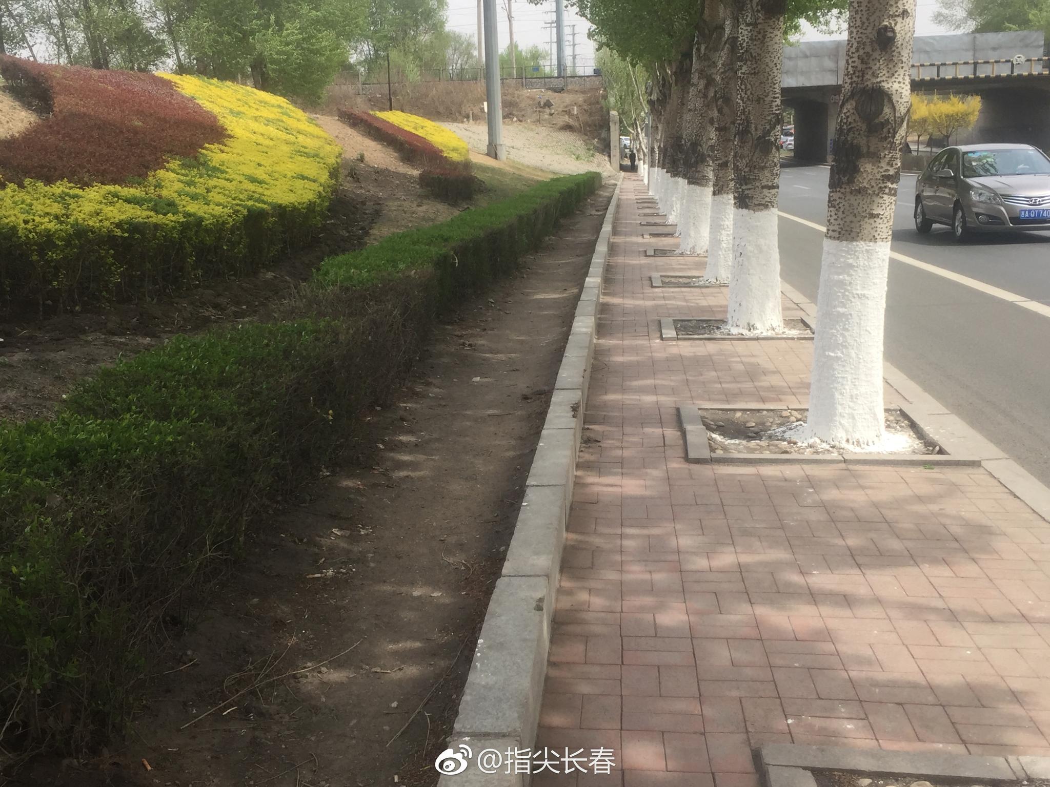 全世界最窄的人行道,在这里