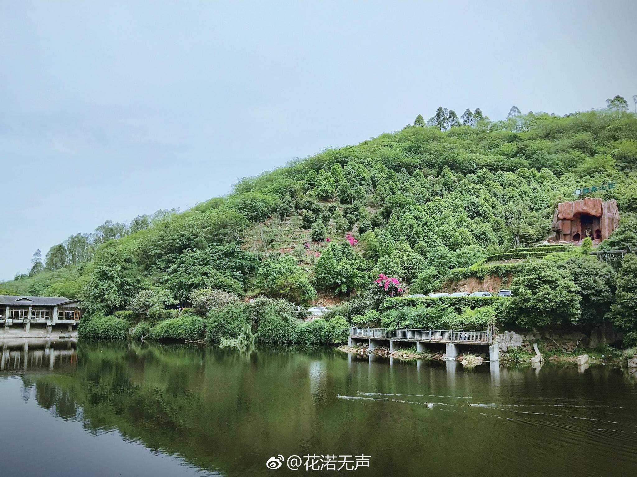 周末出来休闲娱乐啦,同事提前一天踩点发现枇杷沟树上几乎没有了什么