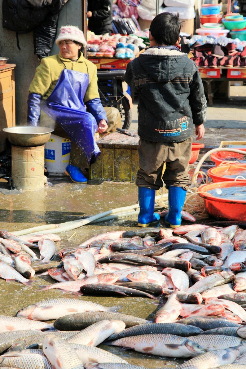 既然孩子那麼喜歡幫著父母賣魚殺魚,時間一長,後來父母生意忙了,也就