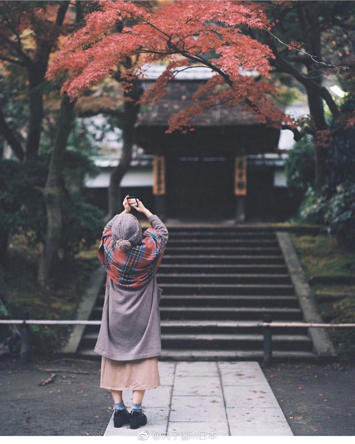 一位超会拍照的日本小姐姐,樱花顿时有了文艺气息