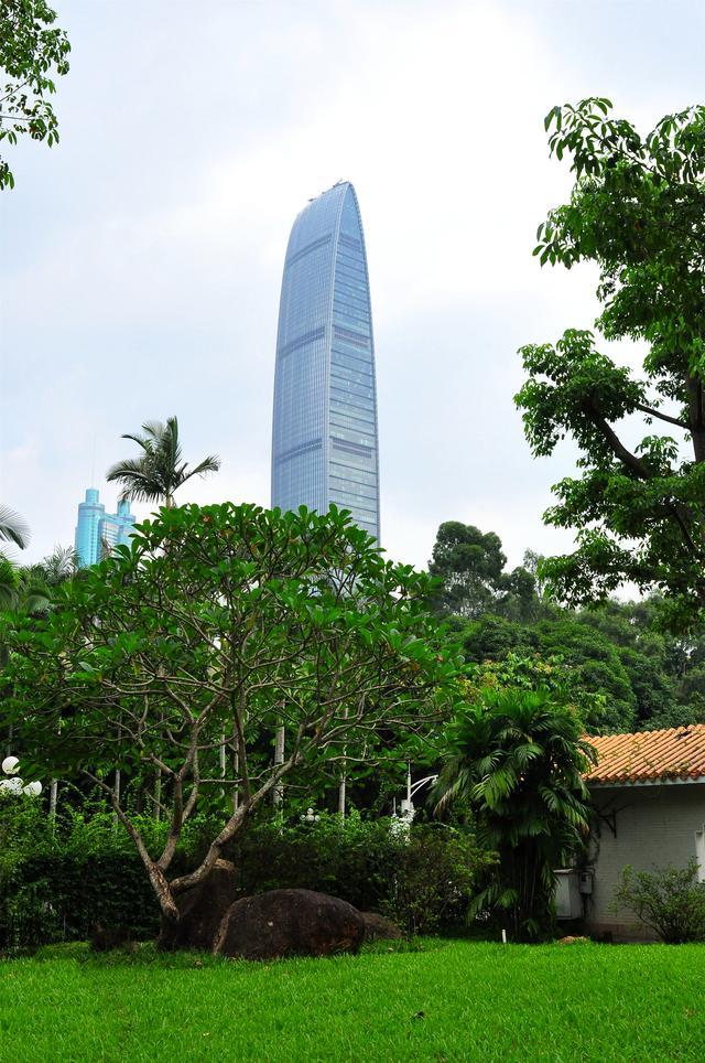 有山有水,风景秀丽的荔枝公园,来深圳旅游的不二之选!